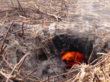 Торф'яні пожежі у Ржищеві: Луцька райрада вимагає зупинити екологічне лихо
