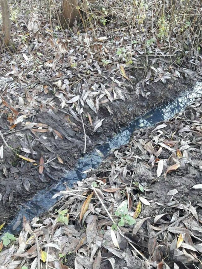 Лучанка перетворила канали центрального парку на каналізацію