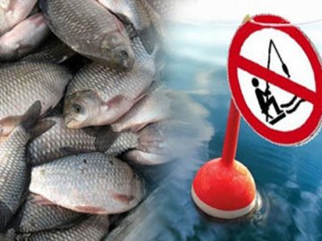На водоймах Волині з 1 квітня заборонять ловити рибу