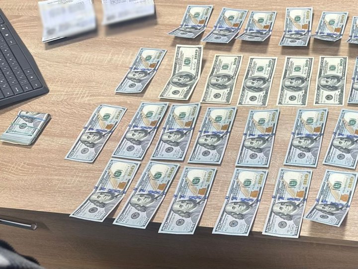 На Волині двоє мешканців Рівненщини пропонували прикордоннику понад 8 тисяч доларів, аби потрапити до Польщі