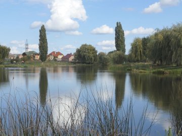 На Теремнівських ставках у Луцьку знайшли кишкову паличку