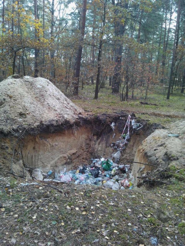 Військові поїхали, а туалети залишились: наслідки навчань у волинському лісі