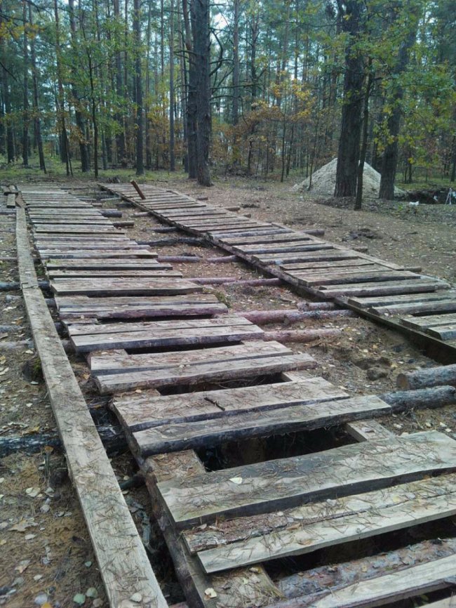 Військові поїхали, а туалети залишились: наслідки навчань у волинському лісі