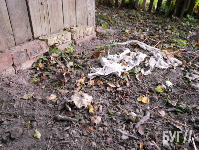 На Волині шукають невідомих, які катують тварин, проводять «ритуали» та руйнують надгробки