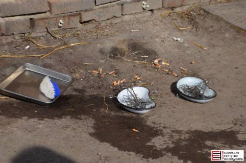 У Луцьку не дорахувалися собак, яких привезли на «Ласку» з Львівщини