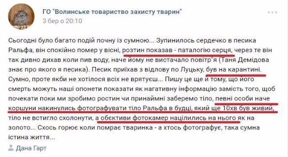 У Луцьку не дорахувалися собак, яких привезли на «Ласку» з Львівщини