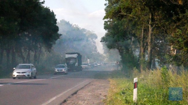 Місто накрила димова завіса: у Володимирі-Волинському горів сухостій. ВІДЕО