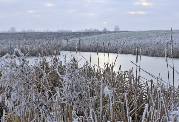 Волинь в льодяному тумані. ФОТО