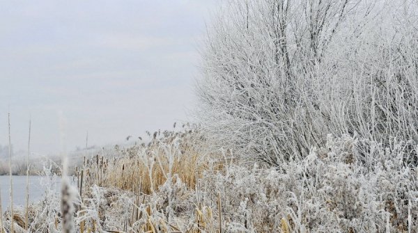 Волинь в льодяному тумані. ФОТО