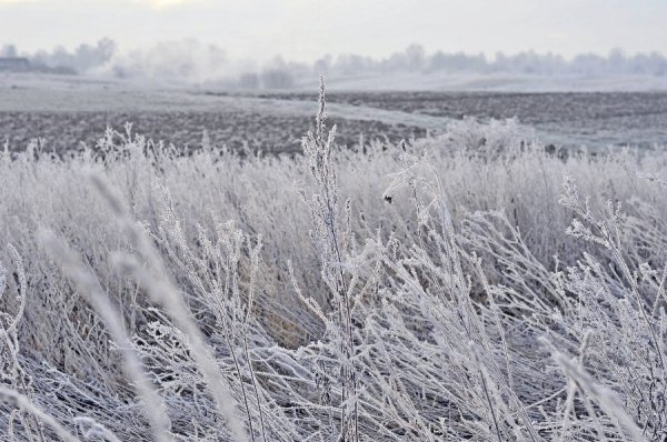 Волинь в льодяному тумані. ФОТО