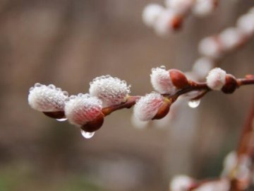 Погода у Луцьку на завтра, 3 березня