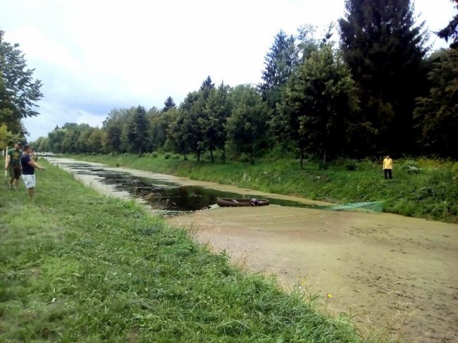 У луцькому парку від ряски чистять канали. ФОТО
