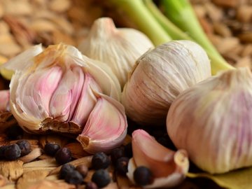 В Україні запрацював перший завод з переробки часнику