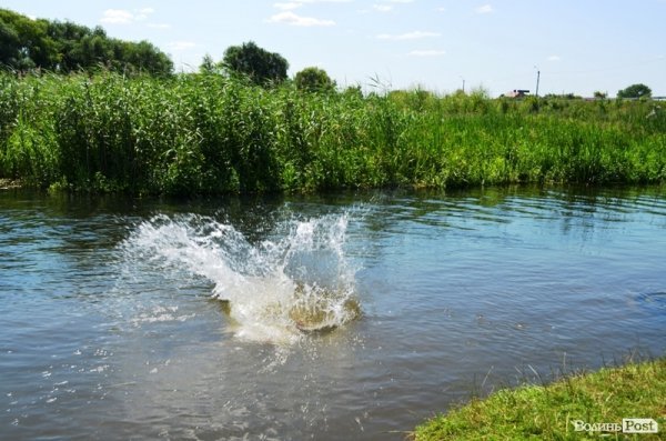 Відпочинок під Луцьком. Річка Чорногузка. ФОТО
