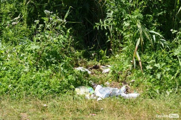 Відпочинок під Луцьком. Річка Чорногузка. ФОТО