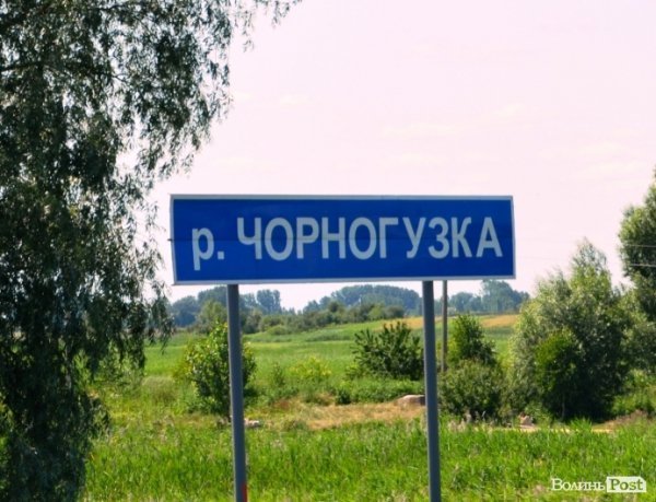 Відпочинок під Луцьком. Річка Чорногузка. ФОТО