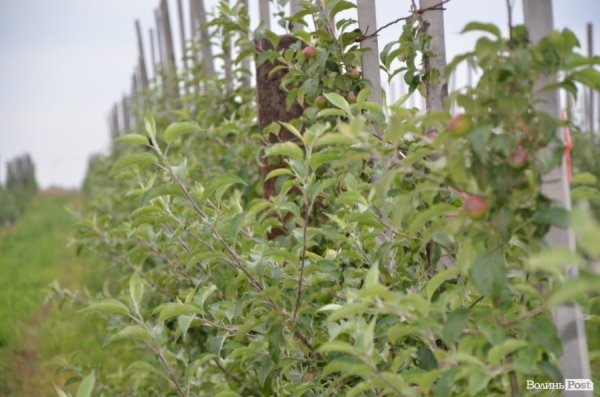 П’ятеро фермерів Горохівського району конкуруватимуть з поляками. ФОТО* 