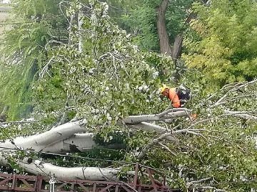 Жителі громади під Луцьком просять владу компенсувати збитки, які завдала негода. ВІДЕО