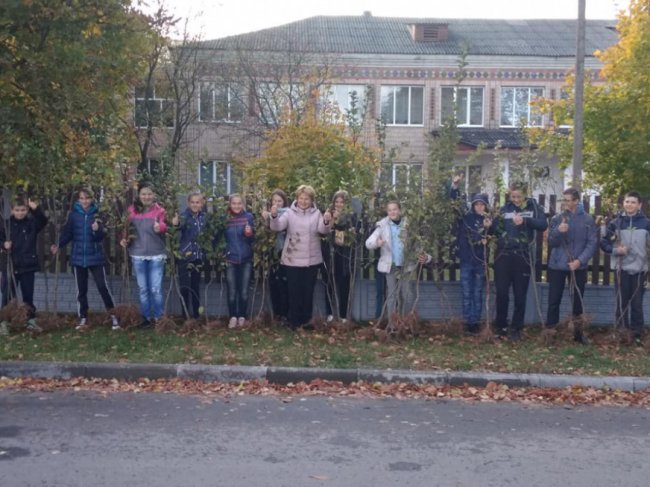 На Любомльщині учні озеленили шкільні двори. ФОТО