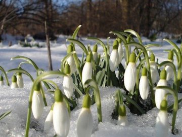 Погода у Луцьку на завтра, 5 березня