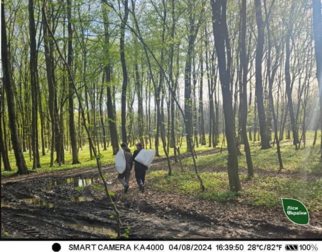 Завдяки фотопасткам зловили понад півсотні волинян, які загиджують ліс