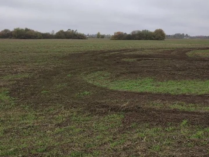 На Волині любителі дрифту нищать засіяні поля: фермери звернулися до поліції