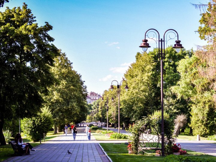 На Волині побільшало випадків укусів кліщів серед дітей