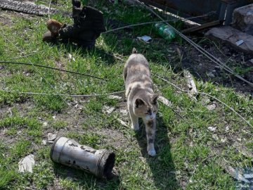 Ніч у регіонах:  ППО збили ракети під Черкасами та Броварами, прильоти по Кіровоградщині