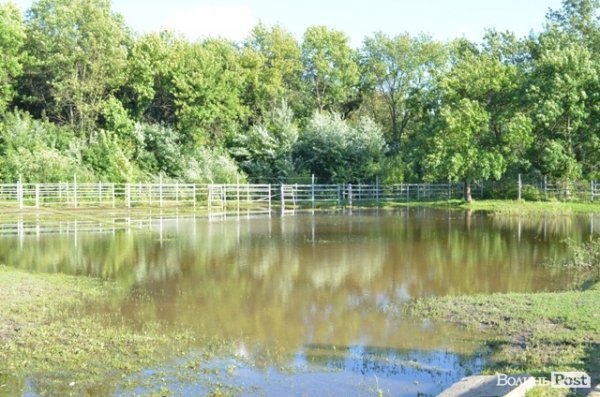 БАНДЕРШТАТ. Наживо. ТЕКСТ. ФОТО. День перший