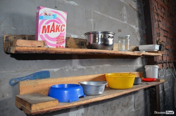 Собачий притулок у Луцьку пережив важку зиму. ФОТО