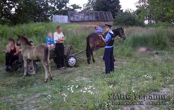 На Волині брат убив екс-чоловіка сестри. ФОТО