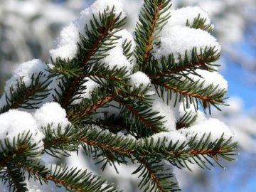 Погода в Луцьку та Волинській області на вихідні, 4 і 5 лютого