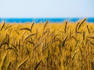 Погода в Луцьку та Волинській області на п’ятницю, 21 серпня