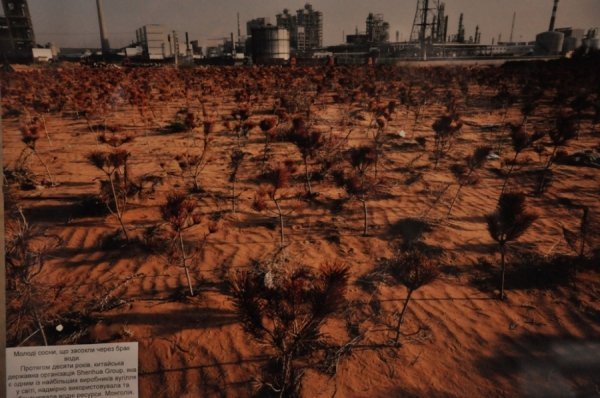 Фото героїв інтернету з Луцька ‒ учасник міжнародної екокампанії