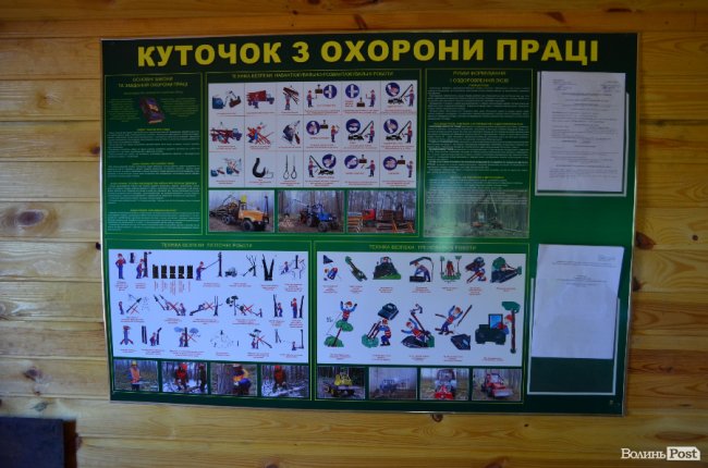 Експрес-подорож областю: на Волині – лісівники з усієї країни. ФОТО
