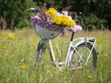 «Потужні опади відсуваються»: синоптик прогнозує потепління в Україні