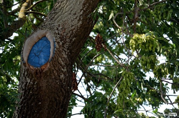 Фотопогляд: старий Луцьк 