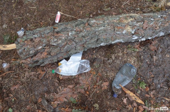 Цуманська пуща