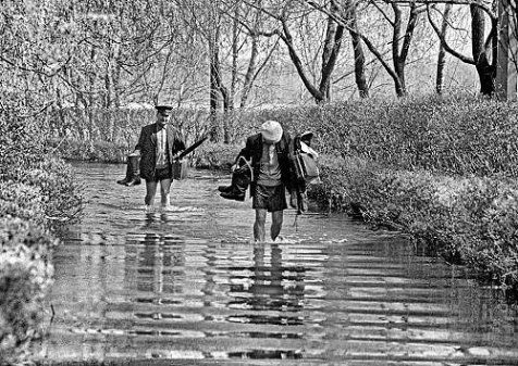 Фото:politiko.ua