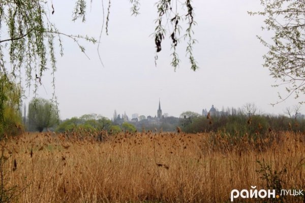 У Луцьку росте унікальний парк