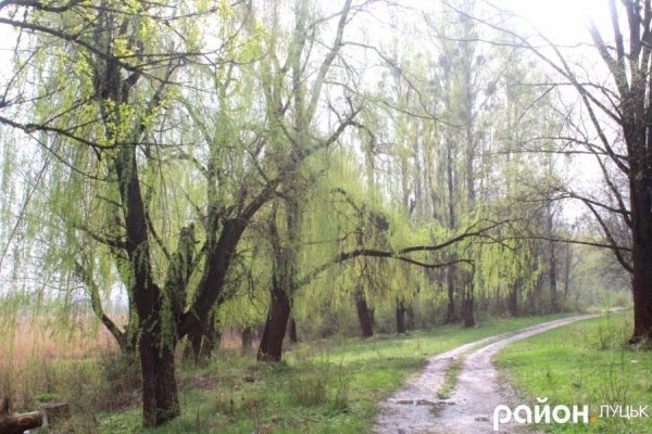 У Луцьку росте унікальний парк