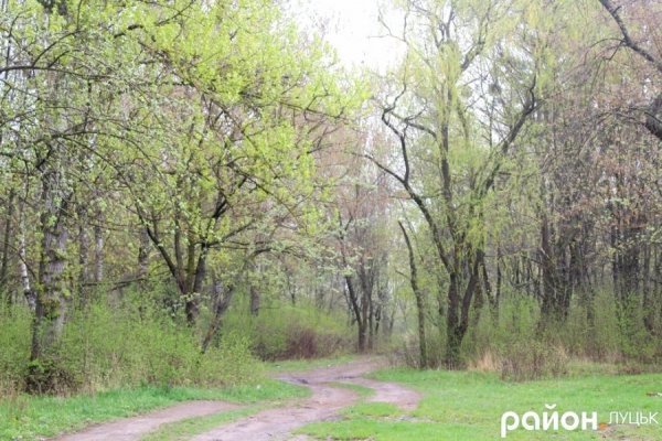 У Луцьку росте унікальний парк