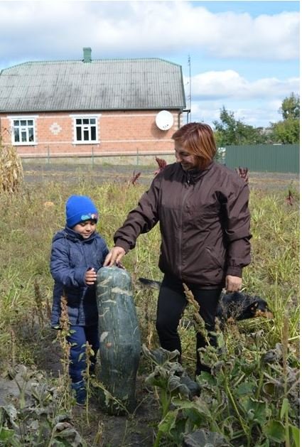Волинянка на городі вирощує кабачки-велетні. ФОТО