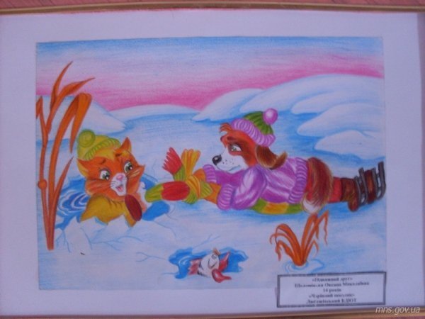 Учні з Волині змагатимуться з білорусами та поляками