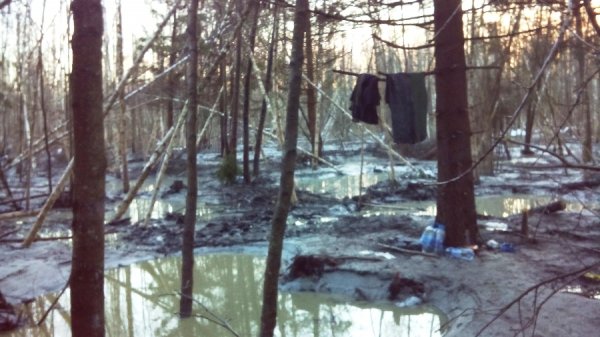 Копанка бурштину