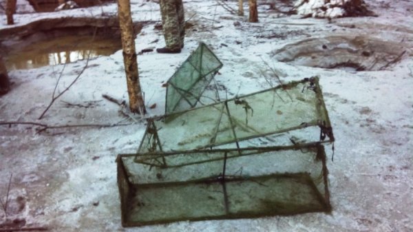 На Волині виявили копанки незаконного видобування бурштину. ФОТО