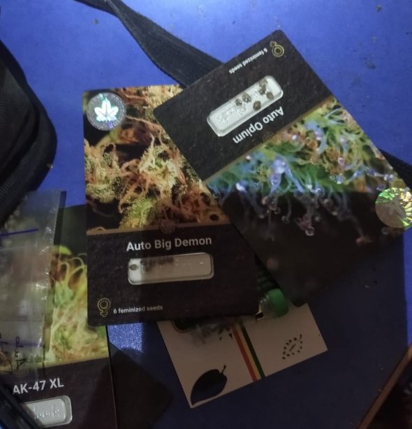 19-річного волинянина, підозрюваного у торгівлі канабісом, взяли під варту. ФОТО