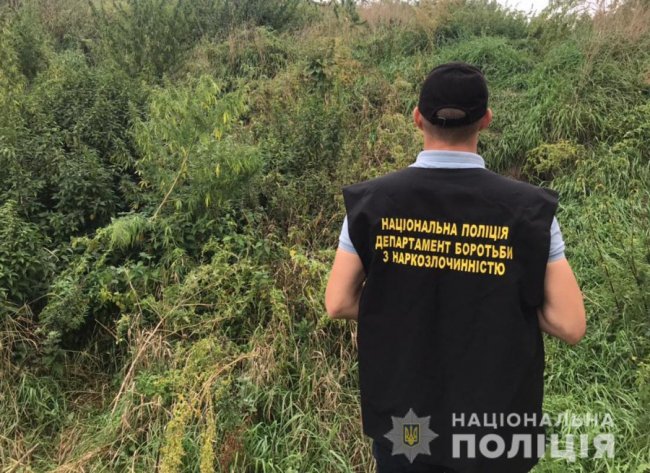 У волинян вилучили наркотики та пістолет. ФОТО