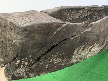 Волинський човен-довбанку можуть побачити відвідувачі: коли відкриють музей одного експоната