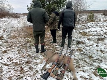 На Волині спіймали браконьєрів, які застрелили самця козулі